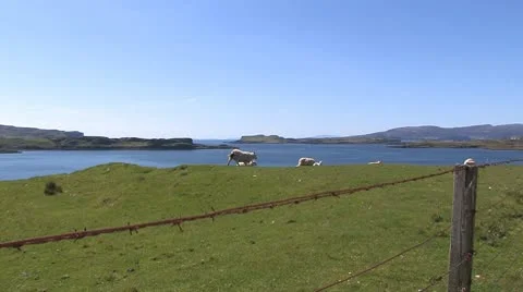 Scotland 스톡 동영상 9875684