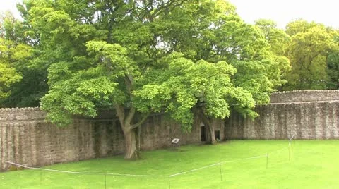 Scotland Video stock 9879580