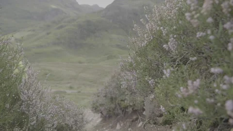 Scotland Landscape Stock-Footage 220567526