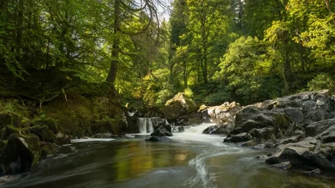 Scotland Timelapse Forest River Stock Footage 153271201