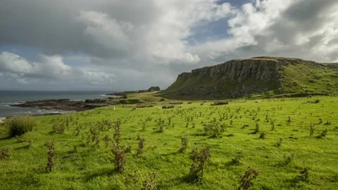 Scotland Timelapse Sheep Stock Footage 153263915