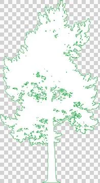 Scots Pine Tree isolated filled outline illustration isolated on transparen.. Stock Illustration