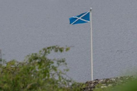 Scottisch flag Stock Photos