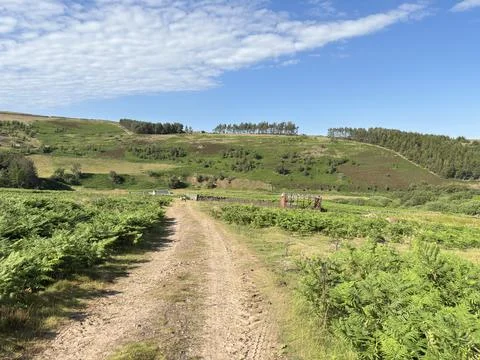 Scottish Borders countryside Stock Photos
