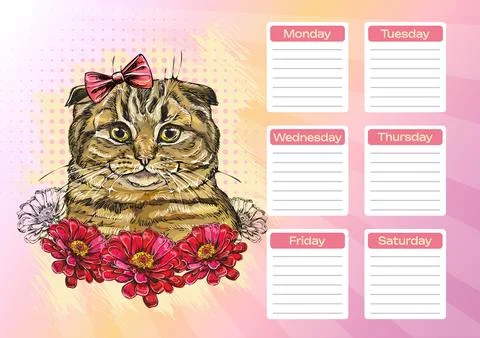Scottish cat with red flowers printable planner and school schedule vector Stock Illustration