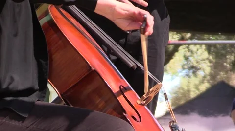 Scottish Chello player Stock Footage 49542811