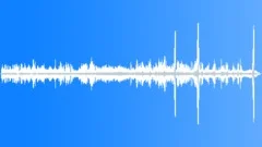 Scottish Crossbill CU Feeding Sound Effect