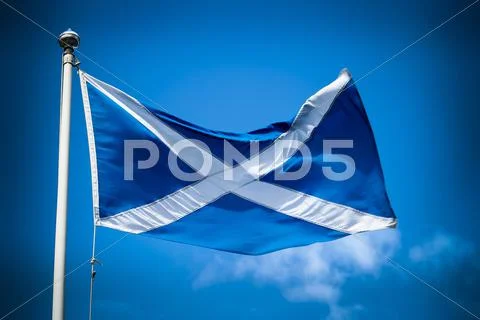 Scottish flag Stock Photos