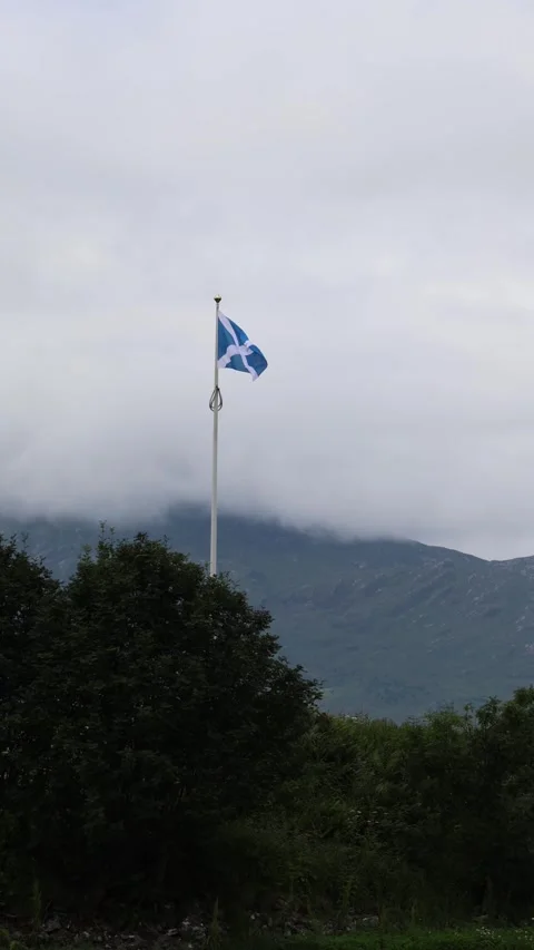Scottish Flag Vertical Vídeos de archivo 341111772