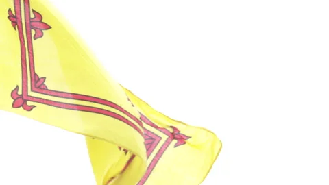 Scottish Flag in the wind Stock Footage 322918283