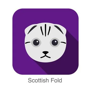 Scottish Fold, Cat breed face cartoon flat icon design Stock Illustration