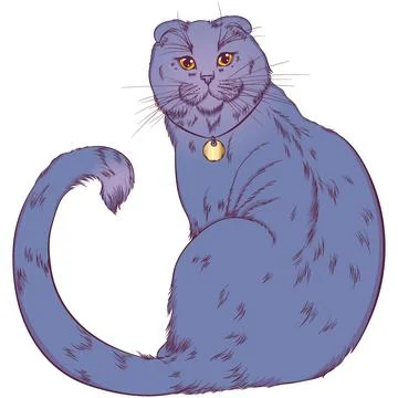 Scottish fold cat sitting back Illustrazione stock