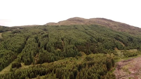 Scottish Highland Stock Footage 111344488