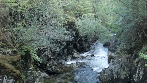 Scottish Highland River overhung by trees Stock Footage 85947930