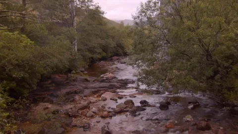 Scottish Highland Stream 库存影片 115846254