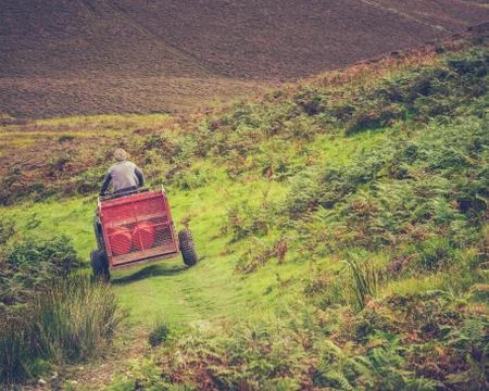 Scottish Hill Farmer Foto stock