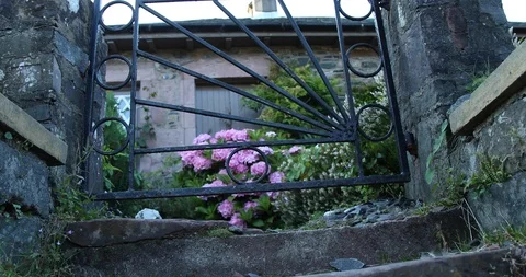 Scottish House 動画素材 101353193