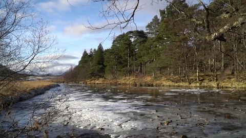 Scottish icy river and tree pan Stock Footage