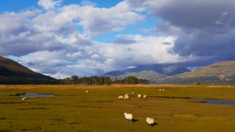 Scottish landscape at Highland Stock Footage 97496402