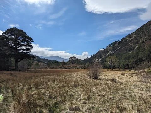 Scottish Landscape Stock Photos
