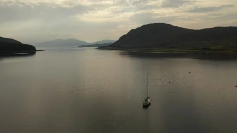 Scottish lock Stock Footage 247505959