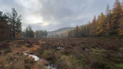 Scottish Mountain Bog Stock Footage 269552130