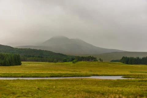 Scottish nature Stock Photos