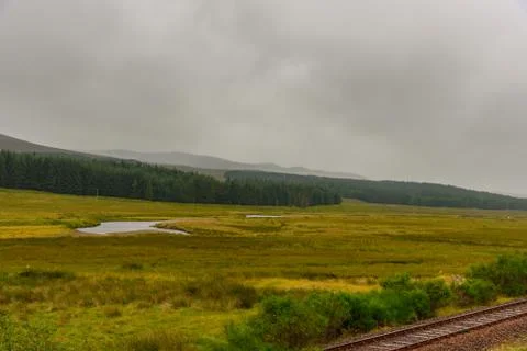 Scottish nature Stock Photos