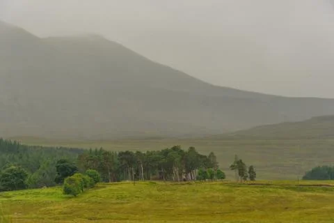 Scottish nature Stock Photos