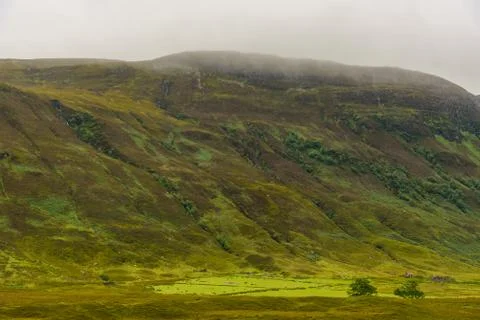 Scottish nature Stock Photos