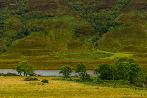 Scottish nature Stock Photos