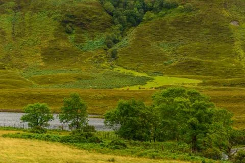 Scottish nature Stock Photos