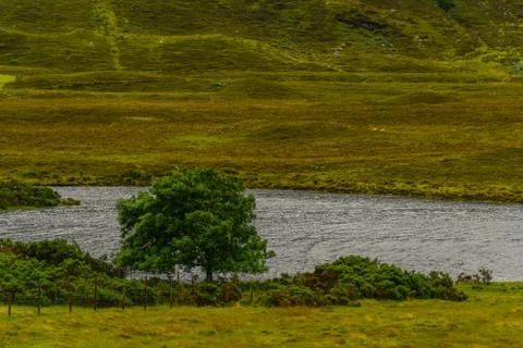 Scottish nature Stock Photos
