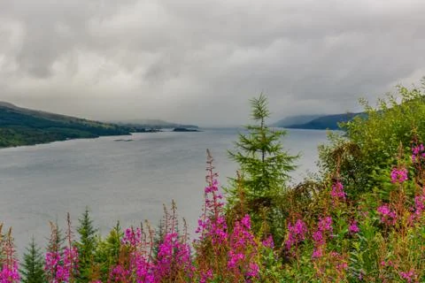Scottish nature Stock Photos