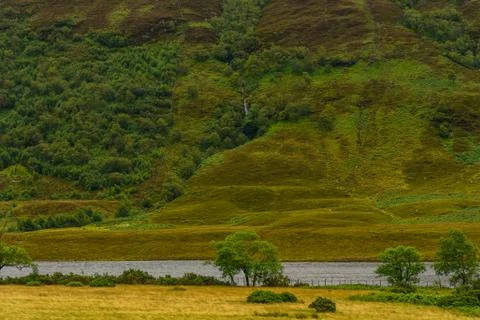 Scottish nature Foto stock