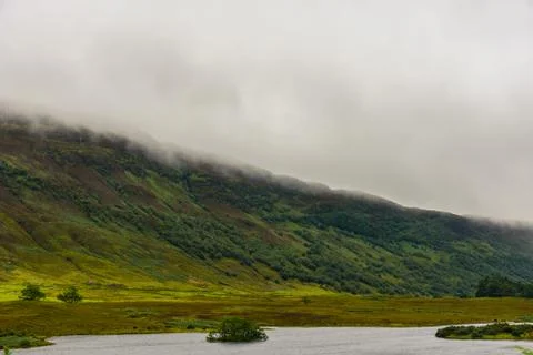 Scottish nature Stock Photos