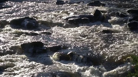 Scottish river short clip, close, flowing, sunlight, high contrast, Scotland Stock Footage 79845793