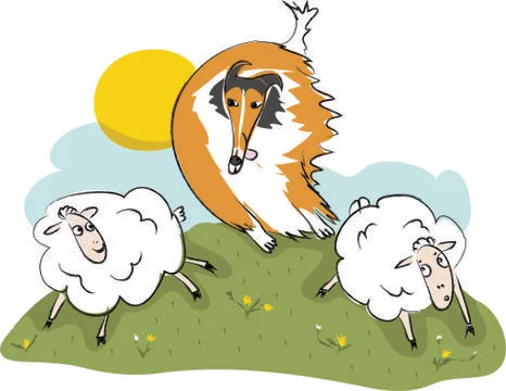 Scottish shepherd dog chasing sheep Stock Illustration