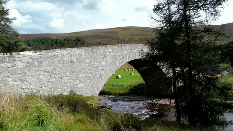 The Scottish Stone Bridge Stock Footage 99180872