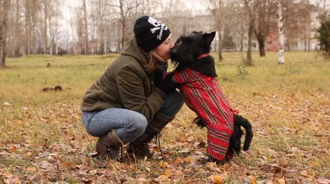 Scottish terrier in the park Video stock 888043