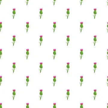 Scottish thistle floral pattern on white background Stock Illustration