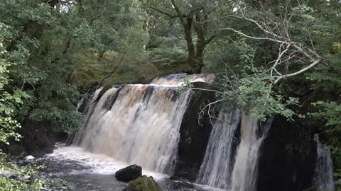 Scottish waterfall Stock Footage 138683414