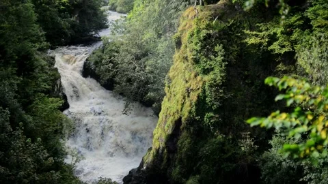 Scottish Waterfall Tumbles Through Verdant Ravine Stock Footage 277335065