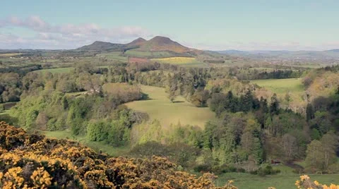 Scotts View Stock Footage 11519067