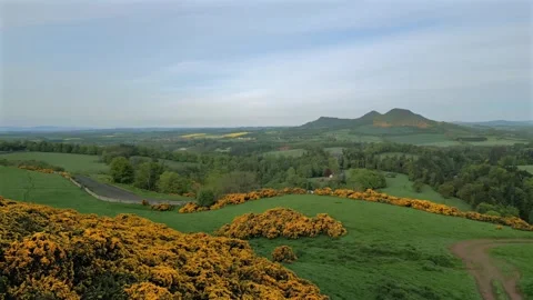 Scotts View Yellow Gorse 4k 50p Stock Footage 284229441
