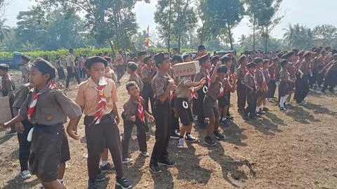 Scout activities Stock Photos