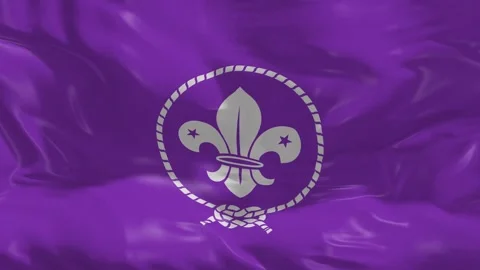 Scout Emblem Flag in a 3D animation Stock Footage 249616349