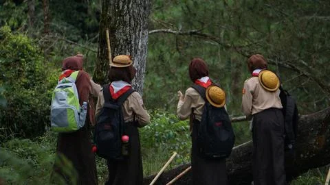 Scout Members Exploring a Dense Forest on an Adventure Stock Photos