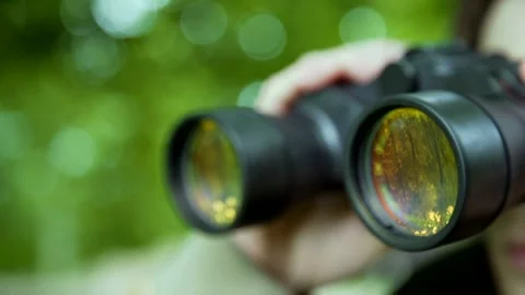 Scouting binoculars Stock-Footage 204833553