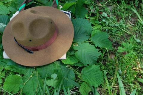 Scouting Stock Photos